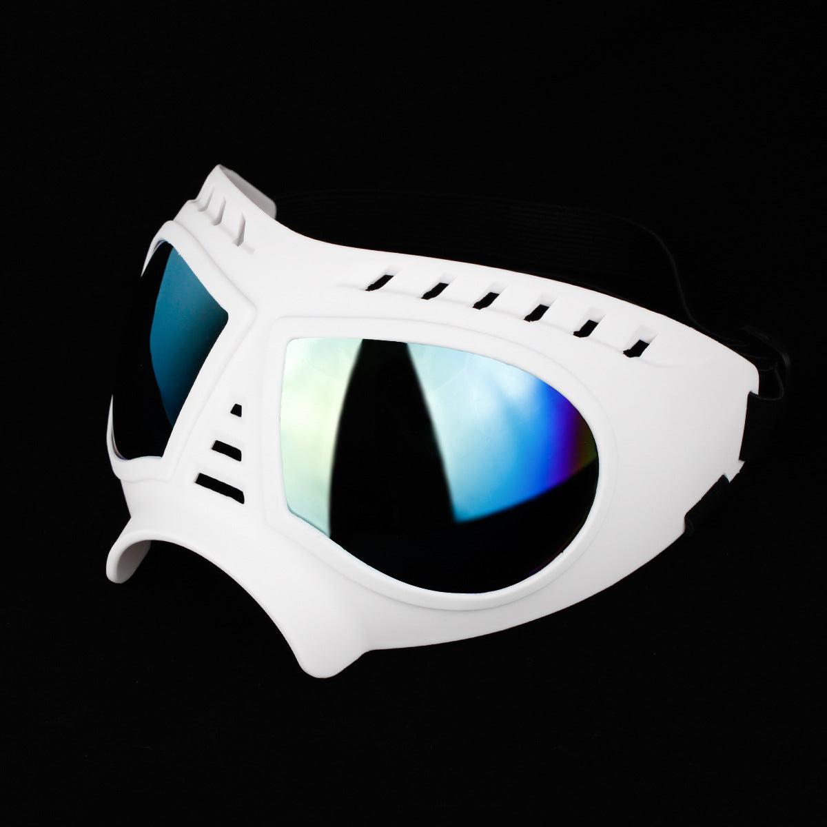 DogbSunglasses