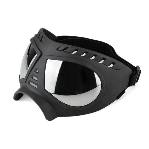 DogbSunglasses
