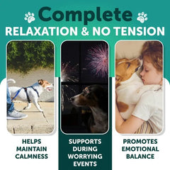 Hemp Anxiety Relief Chews For Dogs