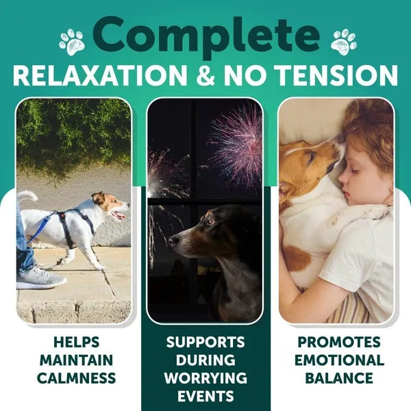 Hemp Anxiety Relief Chews For Dogs