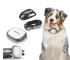 TrackTail Smart Pet Tracker