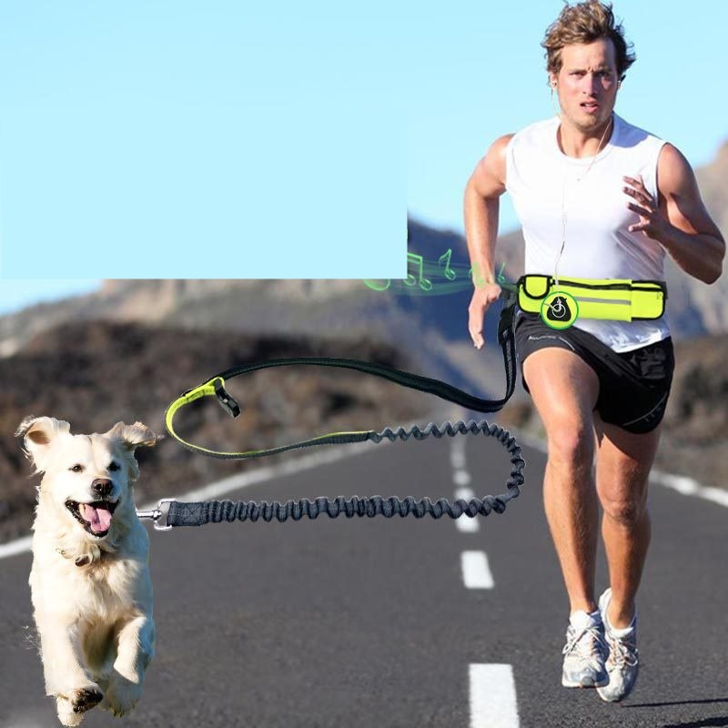 Hands-Free Running  Dog Leash with Waist Storage