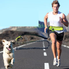 Hands-Free Running  Dog Leash with Waist Storage
