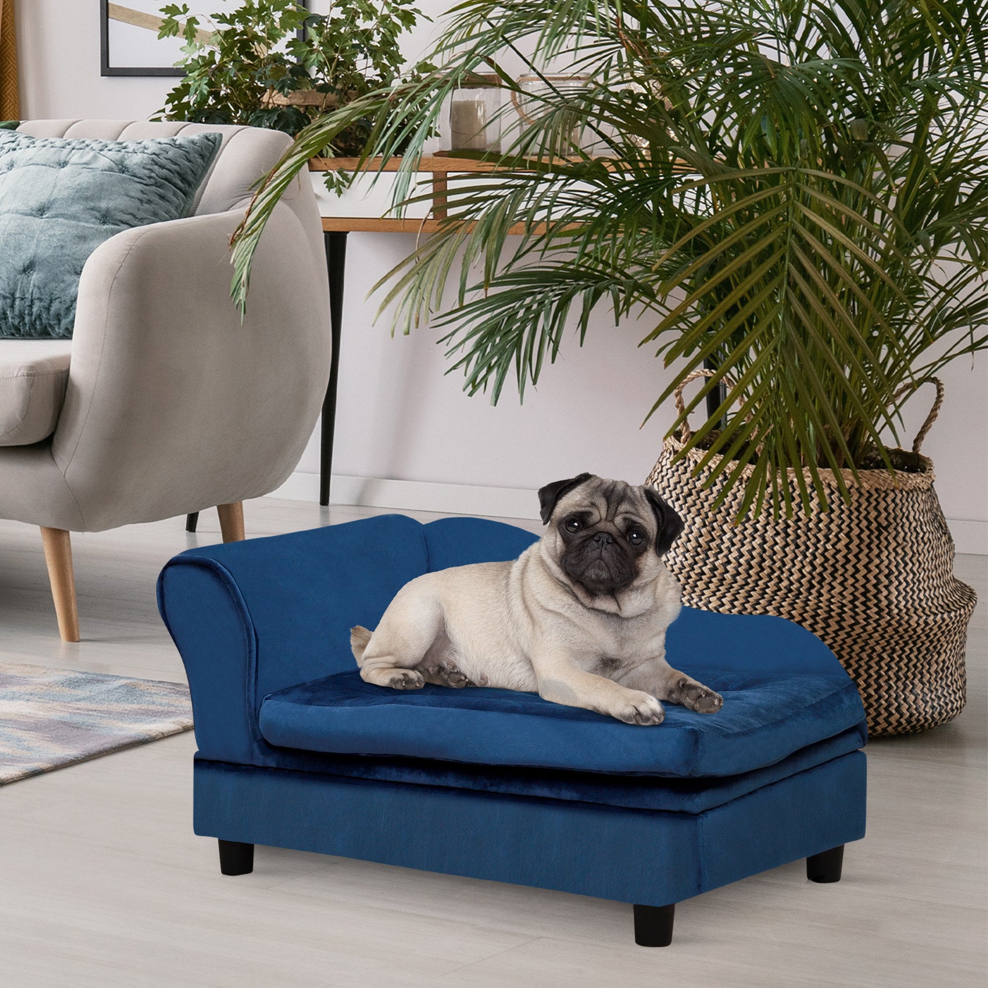 Luxury Small Pet Bed With Hidden Storage