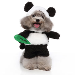 Funky Stylish Pet Clothes
