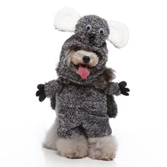 Funky Stylish Pet Clothes