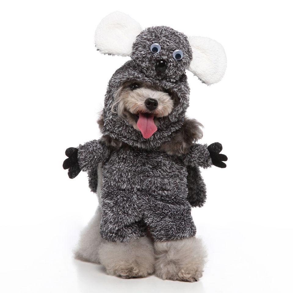 Funky Stylish Pet Clothes