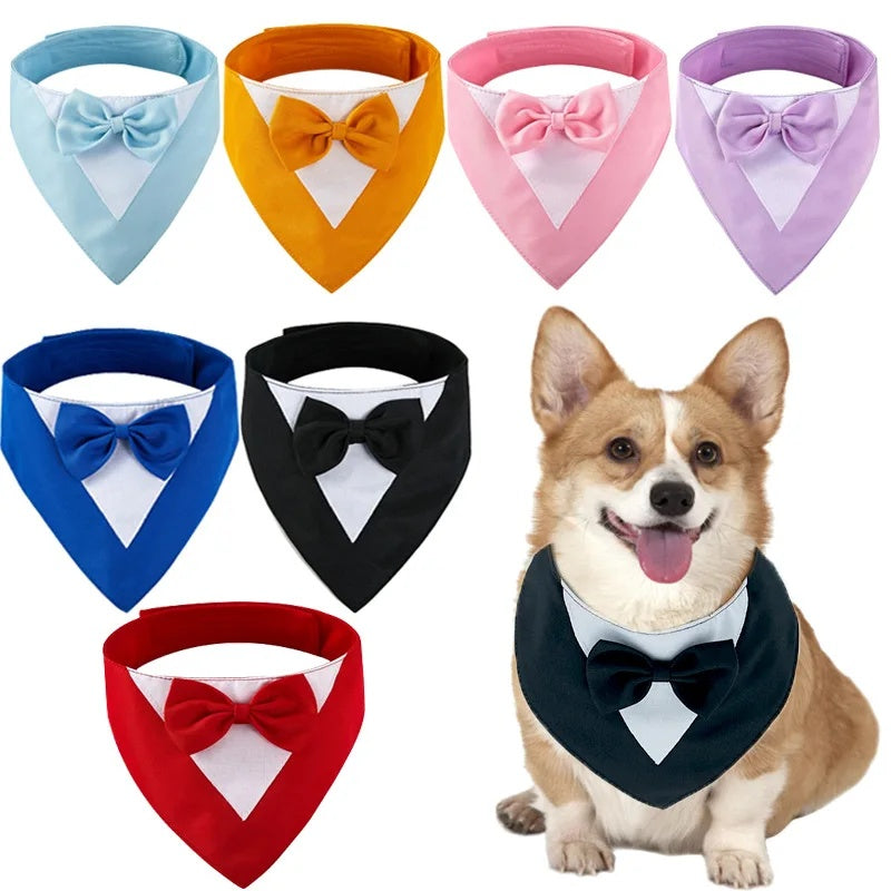 Pet Triangle Bib Bow