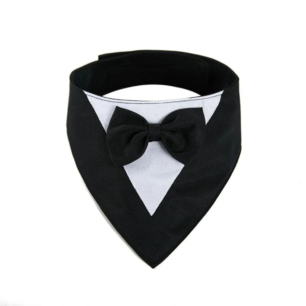 Pet Triangle Bib Bow
