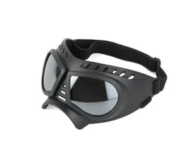 DogbSunglasses