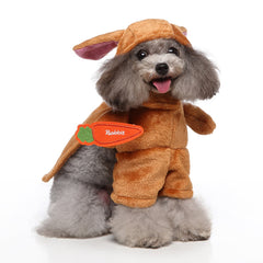 Funky Stylish Pet Clothes