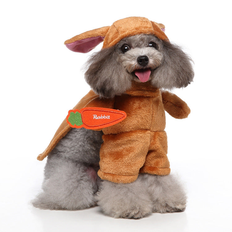 Funky Stylish Pet Clothes