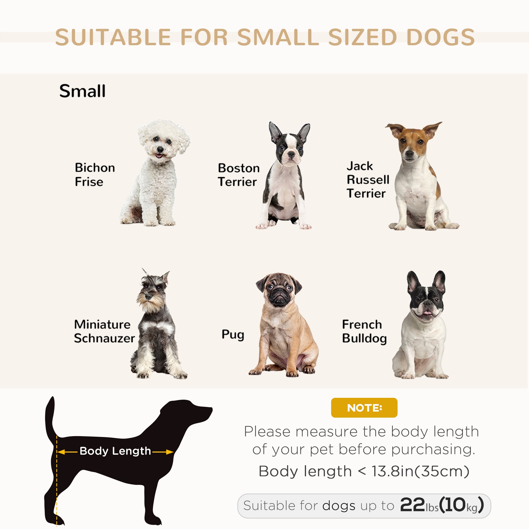 Luxury Small Pet Bed With Hidden Storage