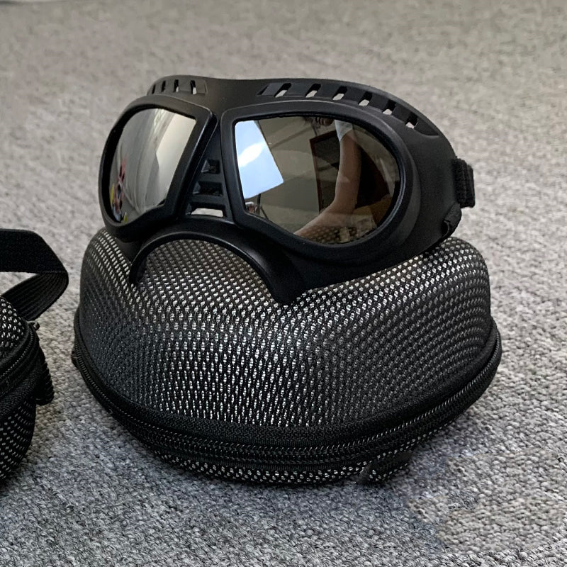 DogbSunglasses